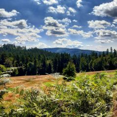 144065203_426831351850361_1031601230806015322_n