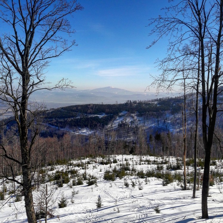 IMG_20190217_151202_530