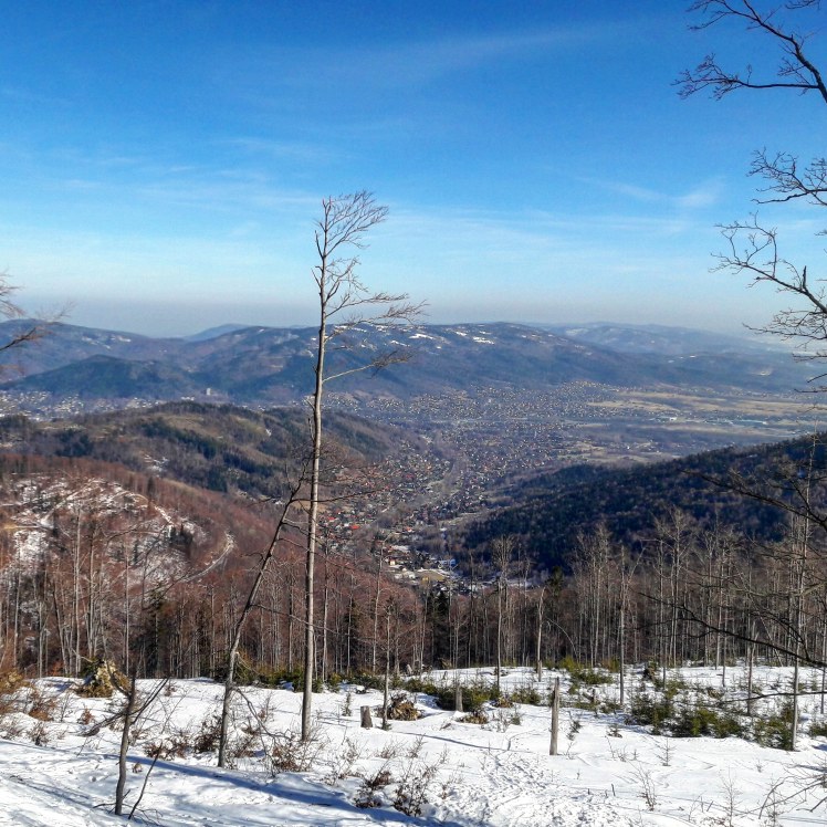 IMG_20190219_111544_102