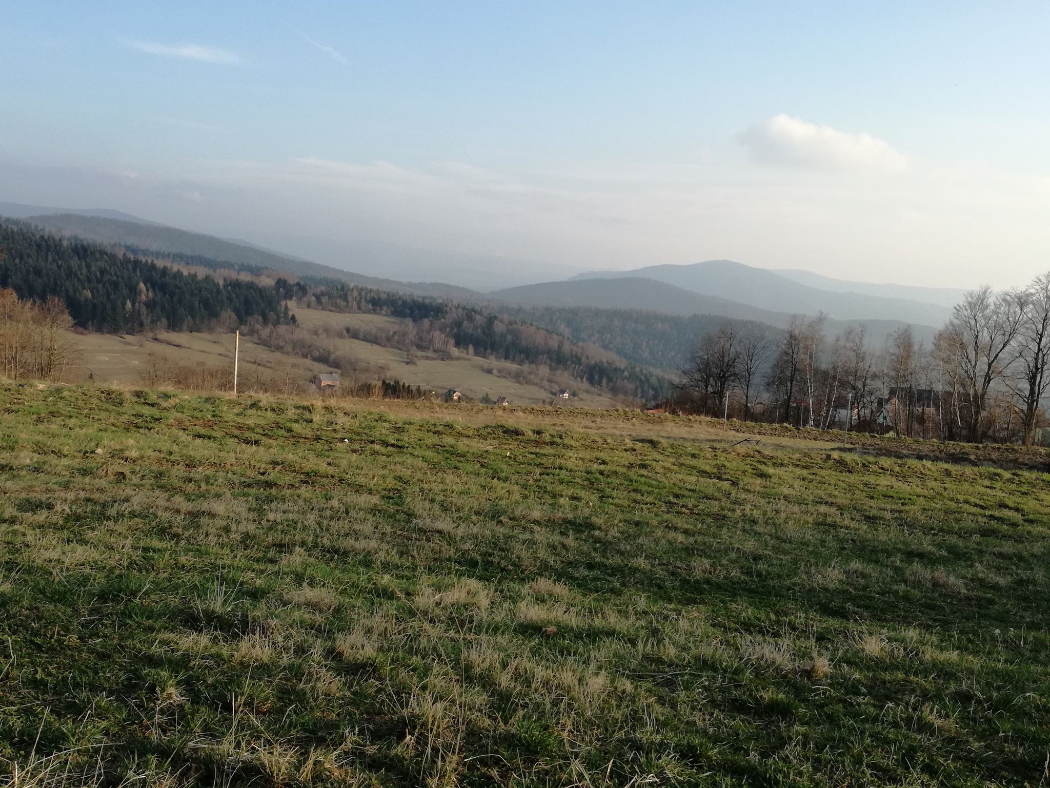 56718478_599439093883660_4236909843648086016_n