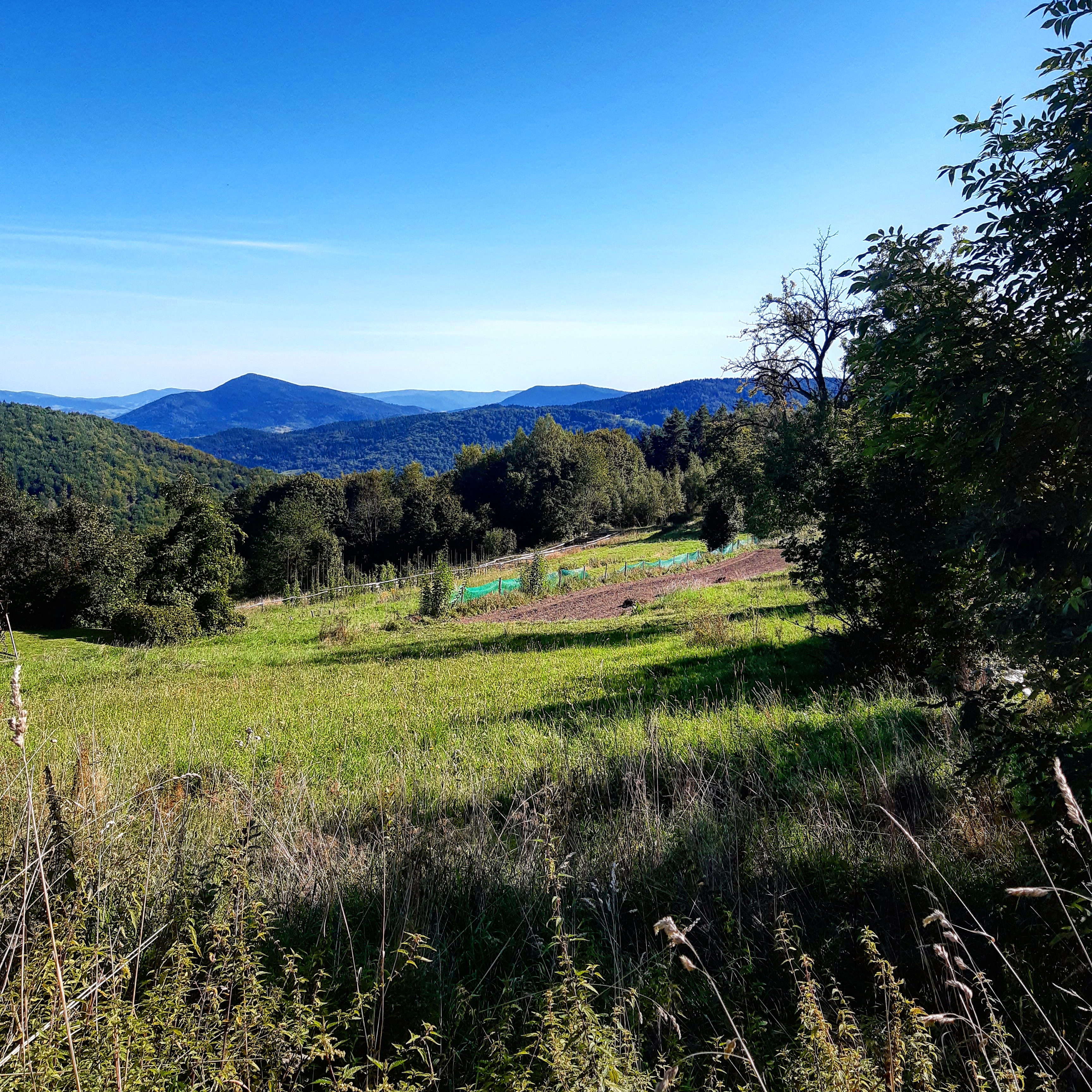 IMG_20190917_075209_893