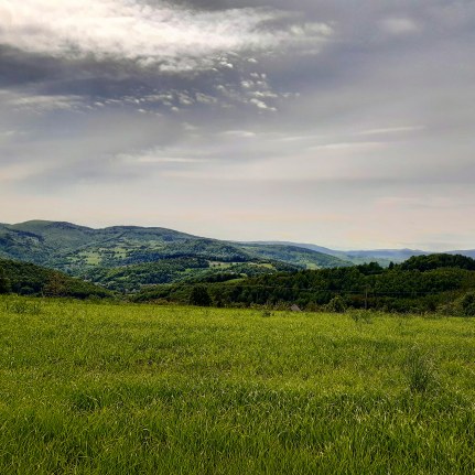 IMG_20200524_151946_030