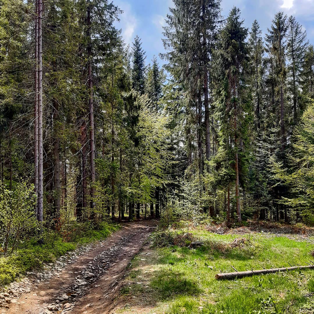 IMG_20200527_073811_447