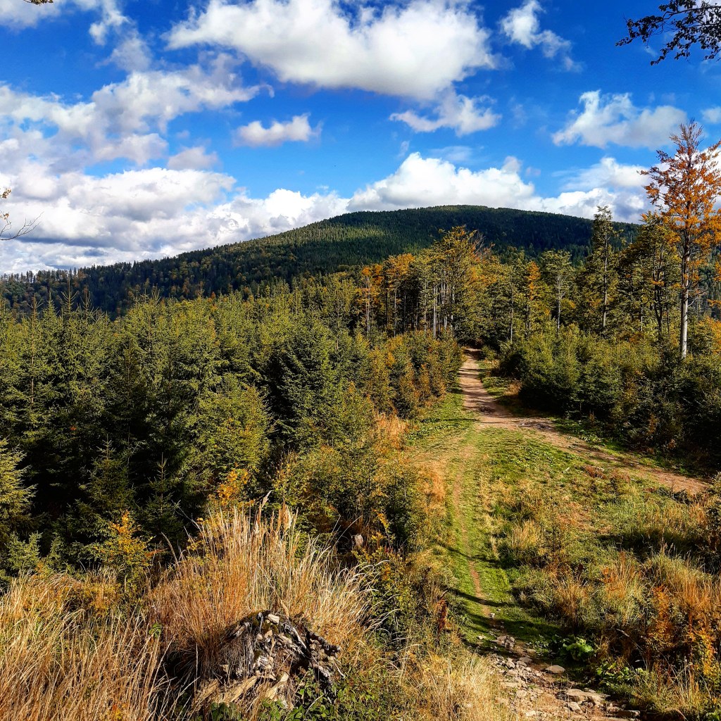 Obrazek posiada pusty atrybut alt; plik o nazwie img_20191001_211112_195.jpg