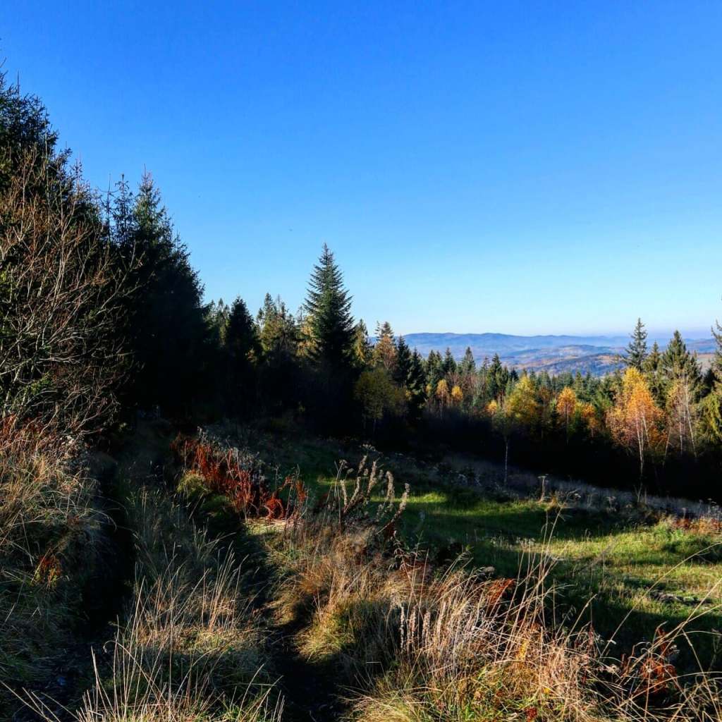 Widok z Koskowej Góry w kierunku Beskidu Żywieckiego