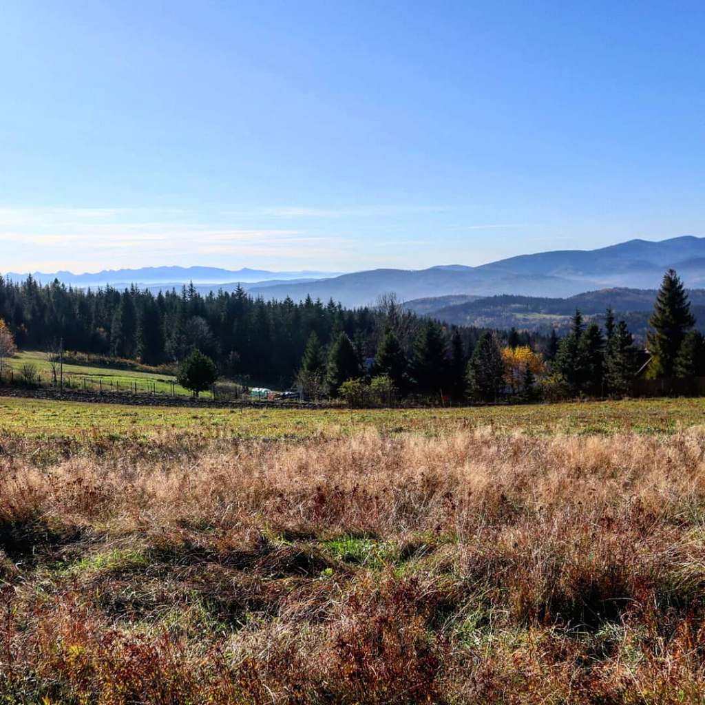 Widok z Koskowej Góry w kierunku Babiej Góry i Tatr