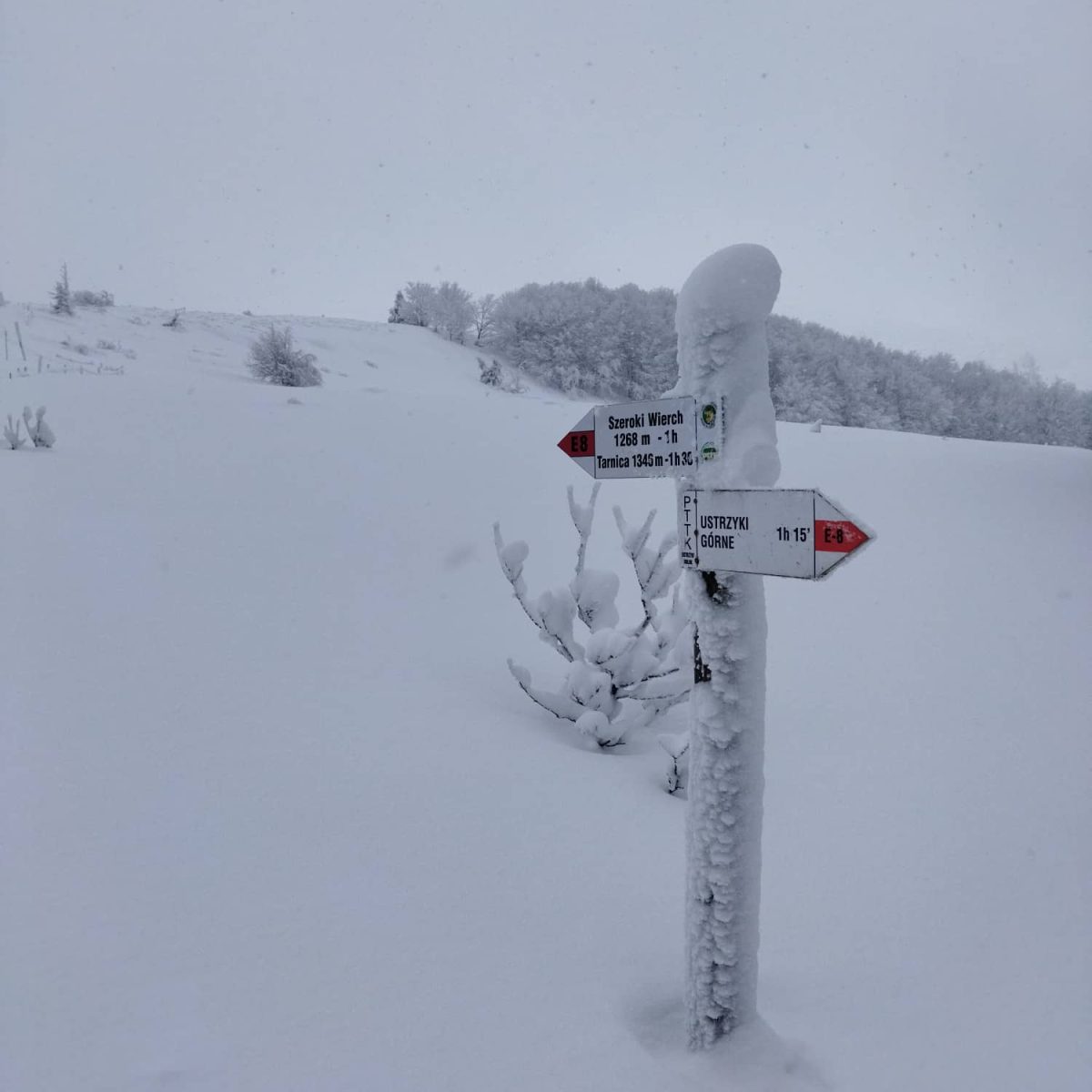 Beskidzkie legendy. O biesach i czadach, które wojowały w&nbsp;Karpatach